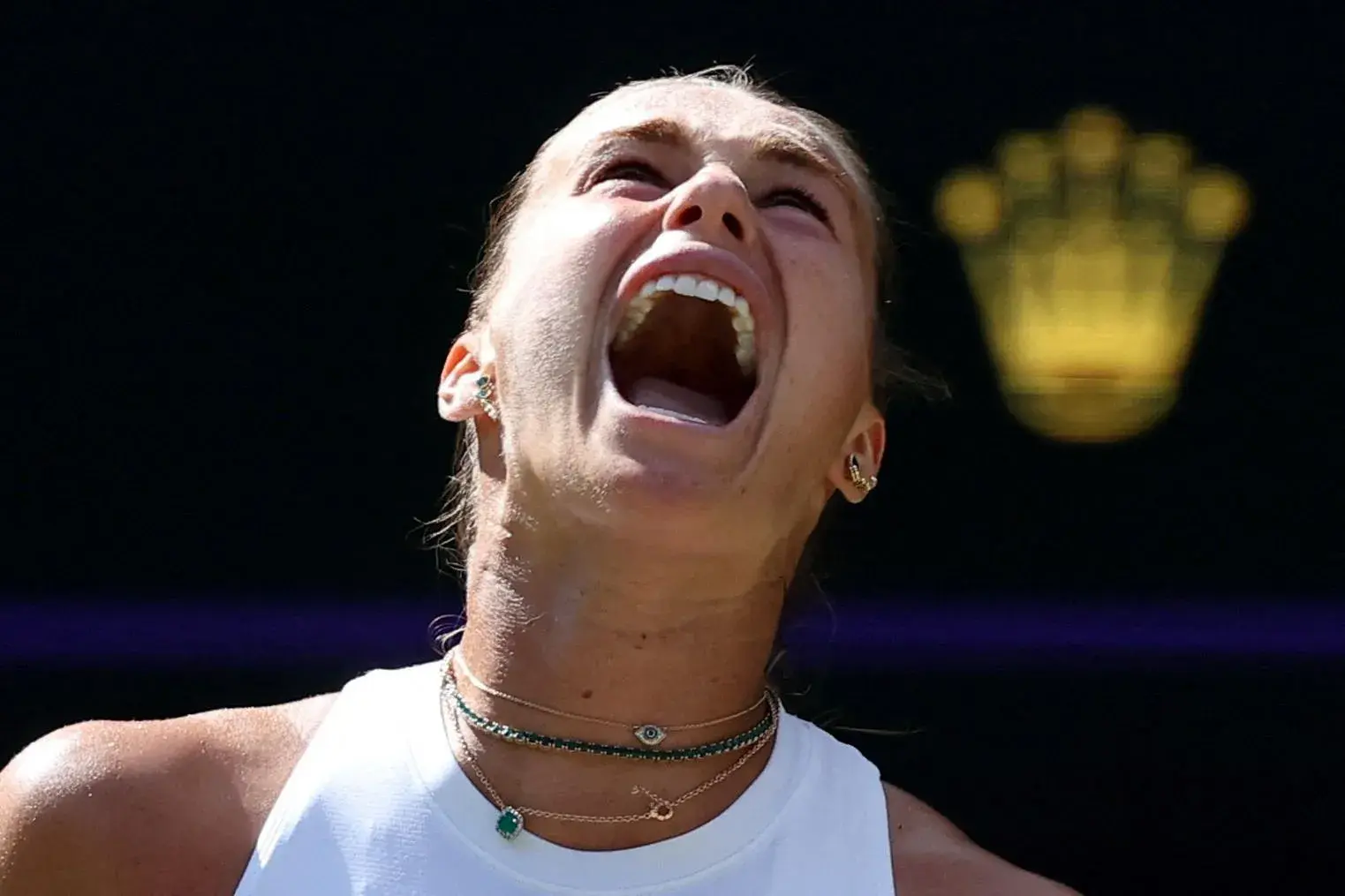 https, stron, 次交手 https, stron, 次交手