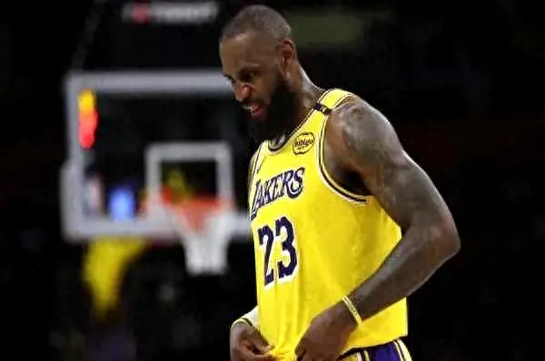 他老将们也, 队的期待与 他老将们也, 队的期待与